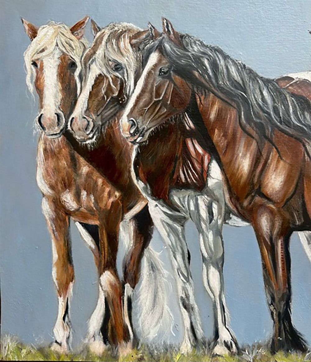 Montana Mustangs 1