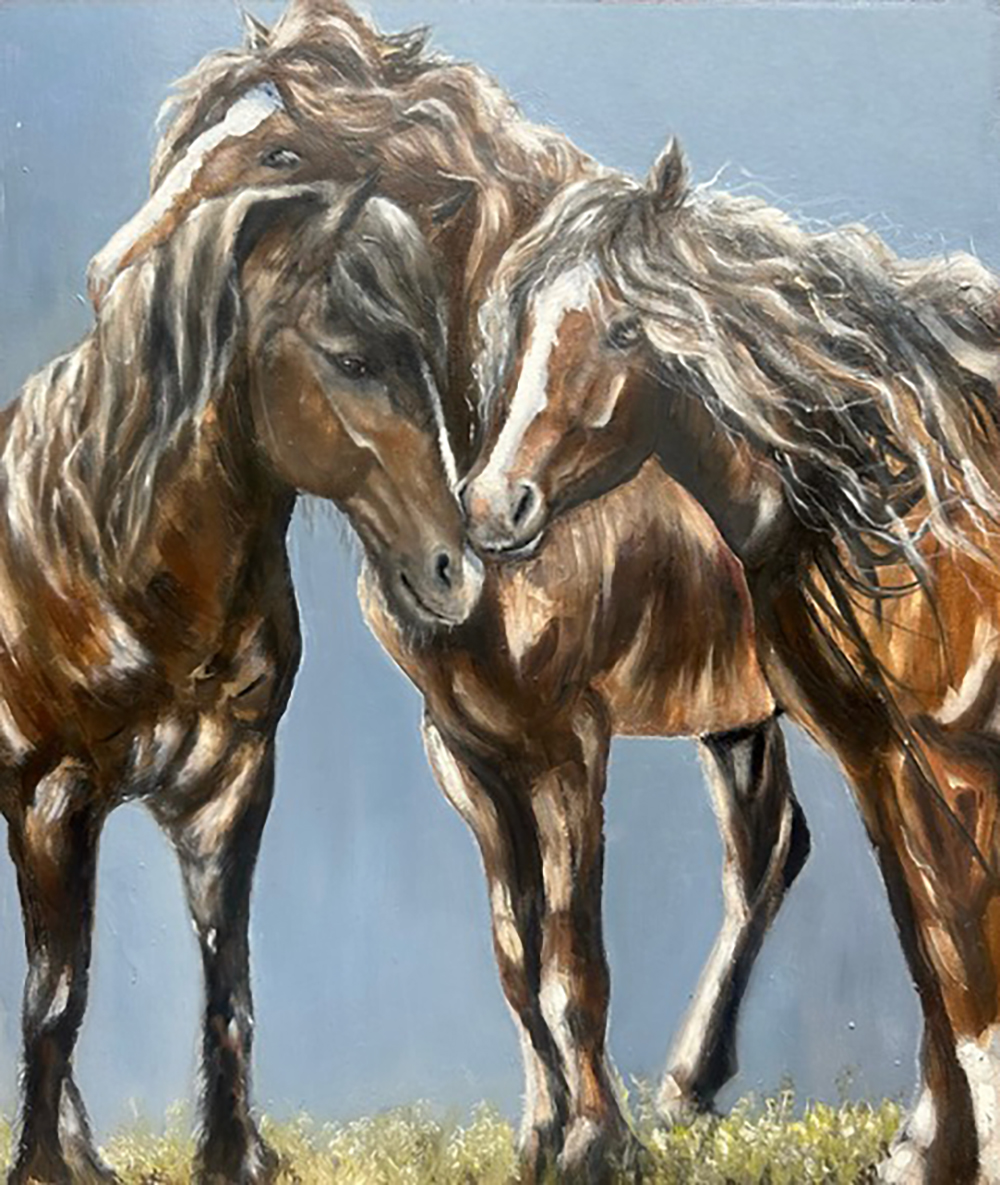 Montana Mustangs 2